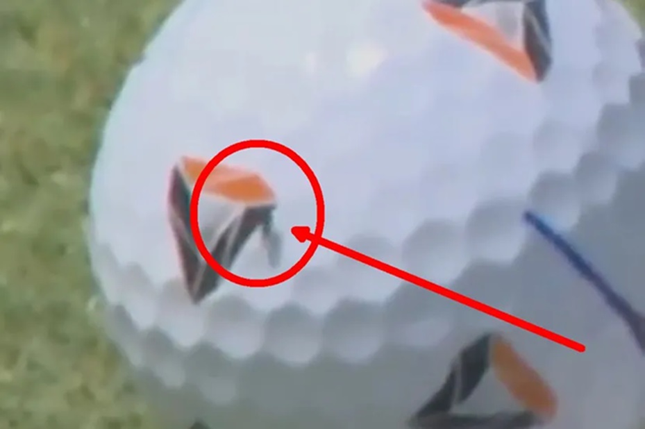 Muva pogurala lopticu i donela golferu skoro 1.5 miliona dolara: Nećete verovati svojim očima (Video)