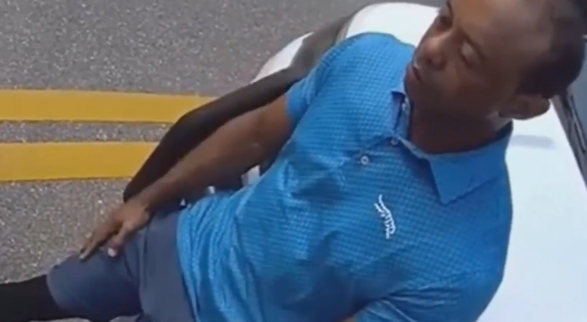 ISPLIVAO ŠOKANTAN SNIMAK HAPŠENJA TAJGERA VUDSA (Video)